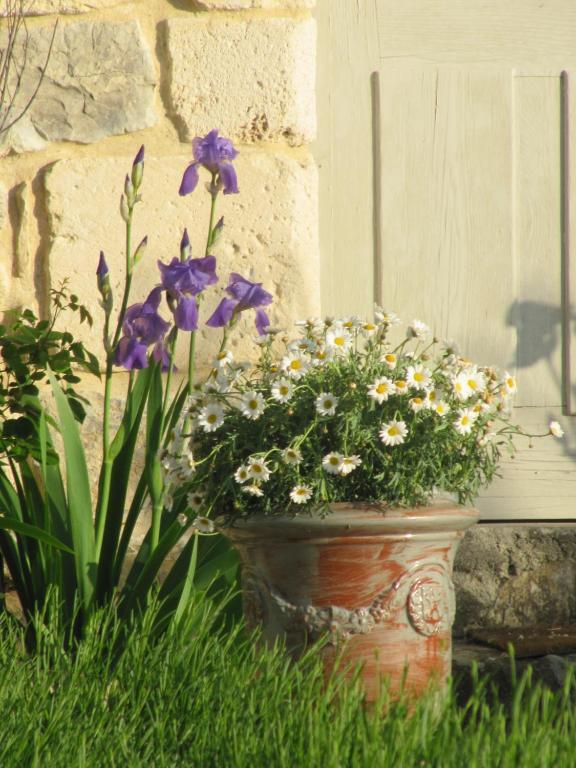 La Flor Azul Bed and Breakfast Grospierres Buitenkant foto