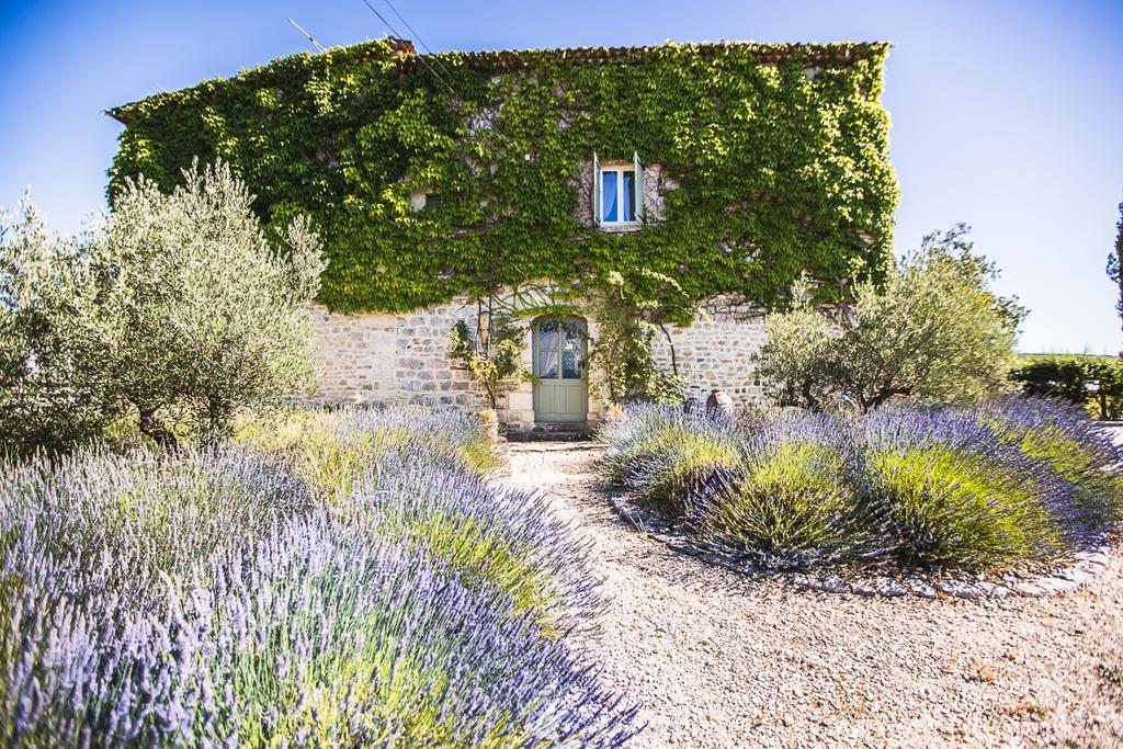 La Flor Azul Bed and Breakfast Grospierres Buitenkant foto